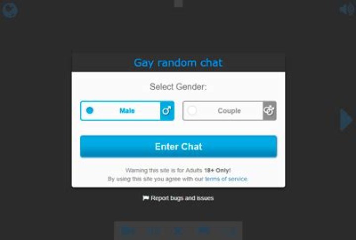 Gay Random Video Chat